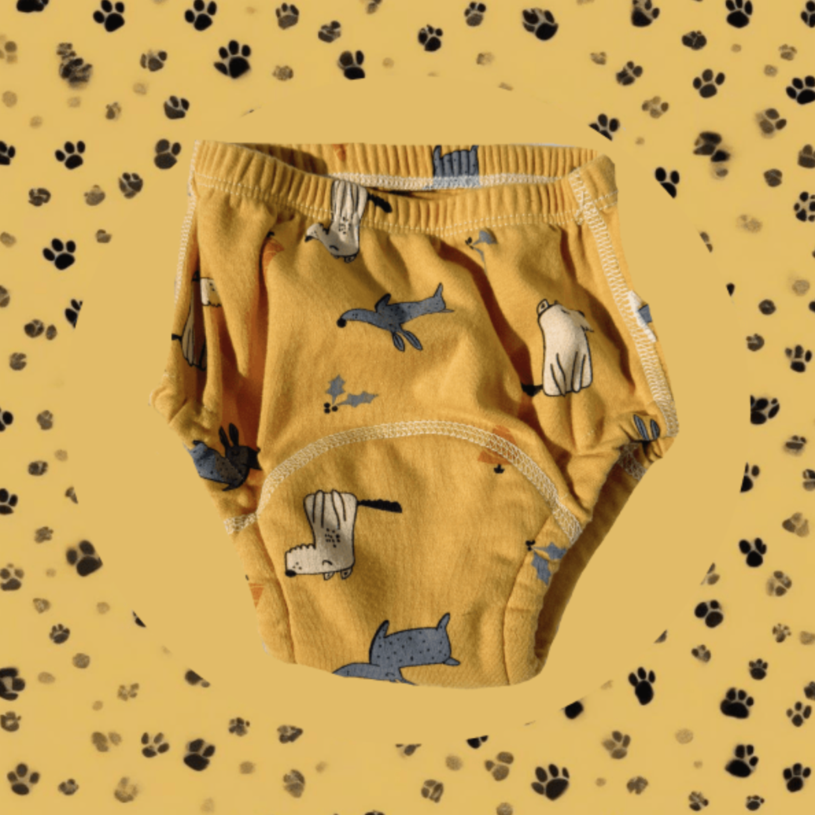 Potty Training Underwear